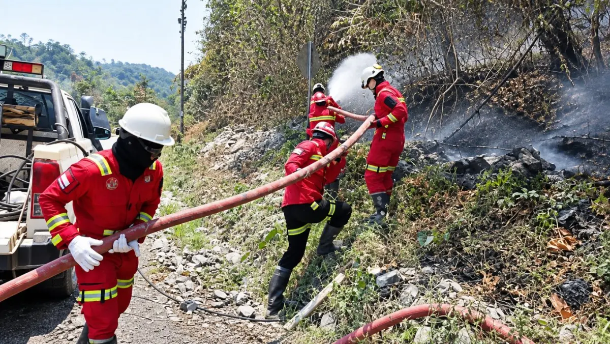 Aktifkan Emergency Management Team, NHM Perkuat Penanganan Karhutla