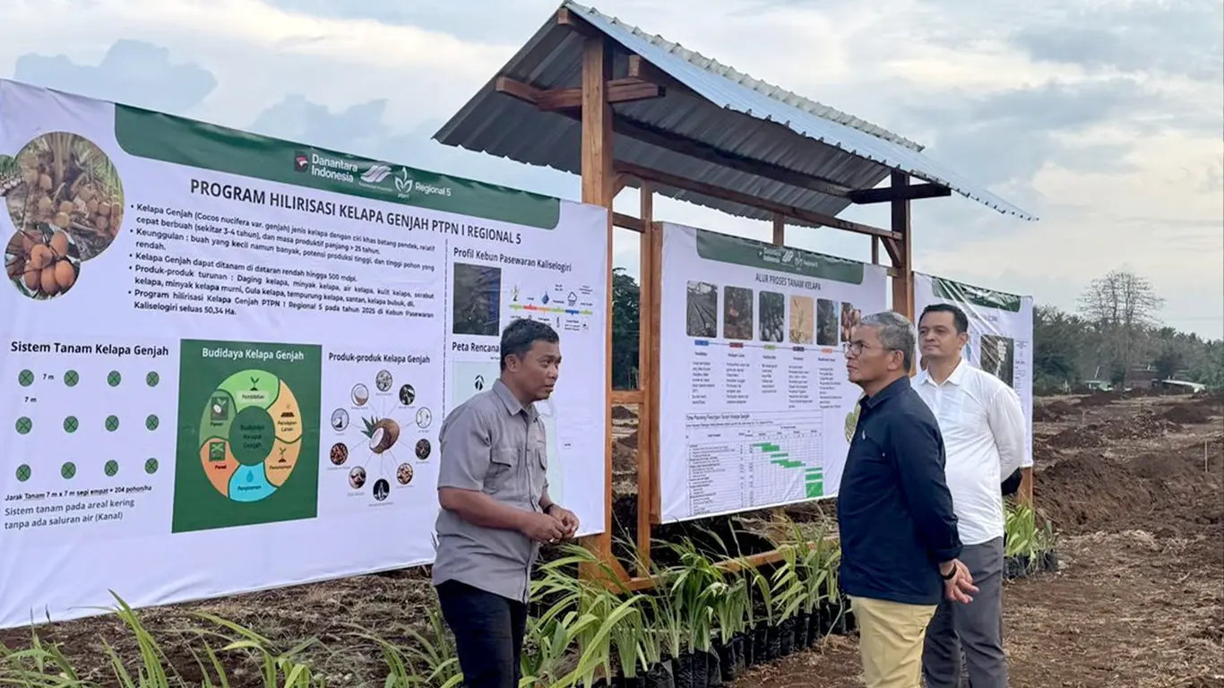 PTPN I Dorong Hilirisasi Perkebunan Lewat Demplot Kelapa Genjah di Banyuwangi